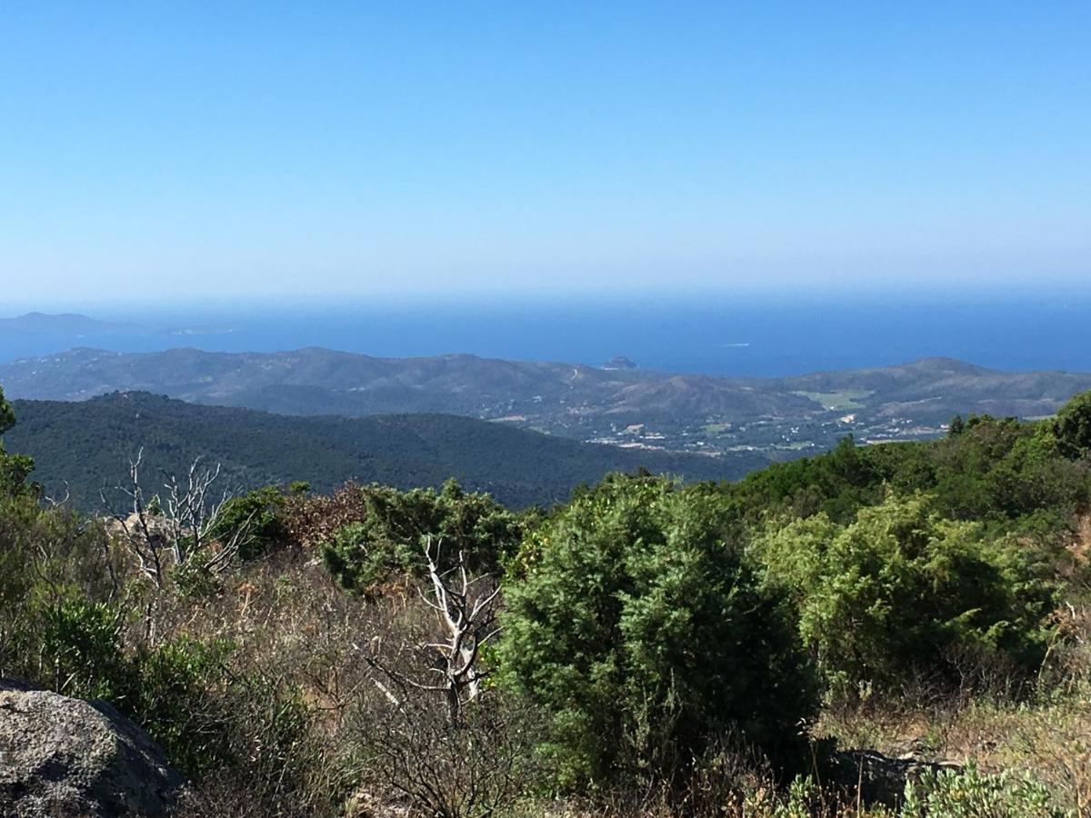 La Petite Bergerie, Les Hautes Roches Collobrières Exteriér fotografie