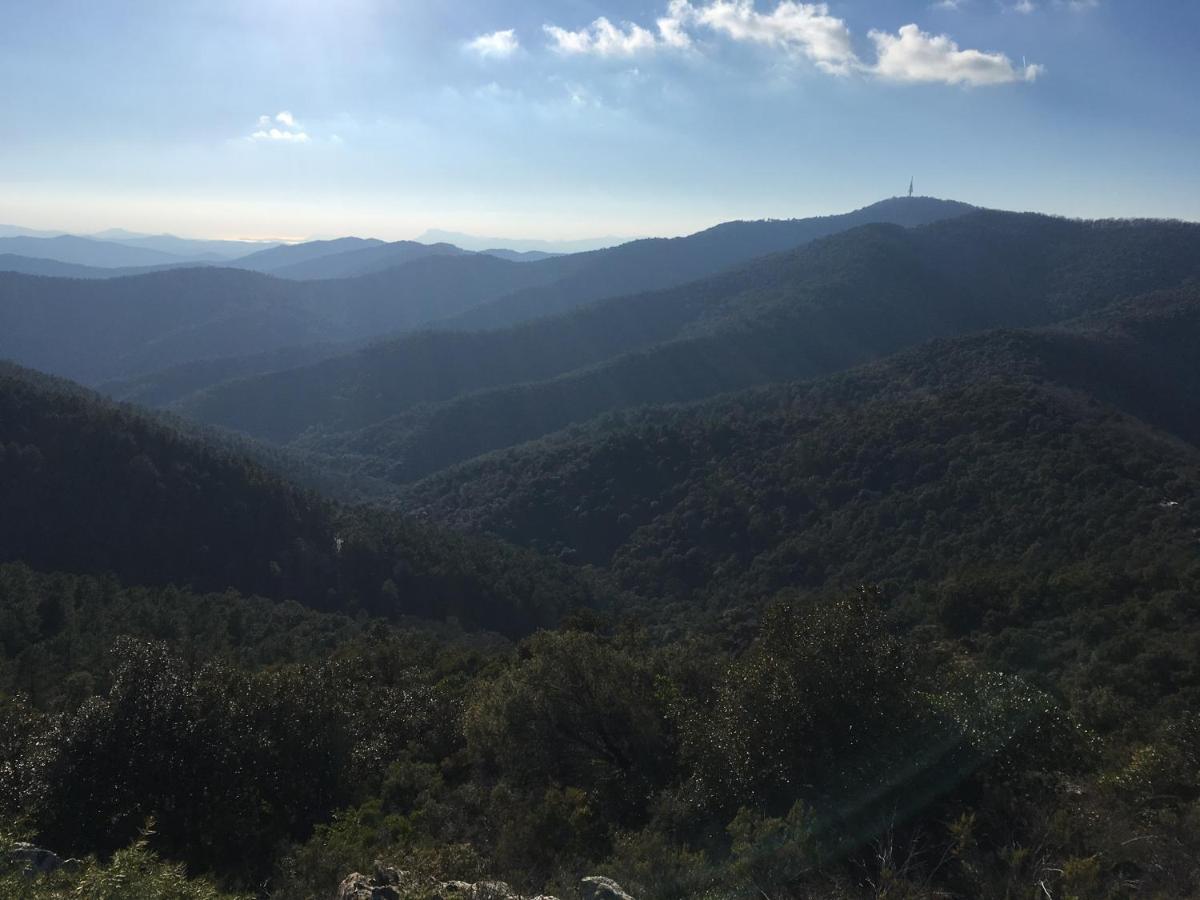 La Petite Bergerie, Les Hautes Roches Collobrières Exteriér fotografie